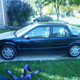 Illustration for article titled Here Are Ten Of The Most Fuel-Efficient Cars On eBay For Less Than $5000